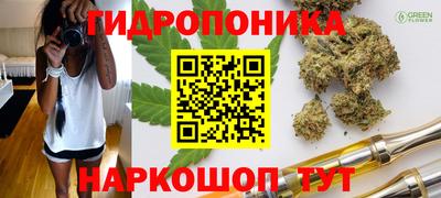 ALPHA PVP Пугачёв