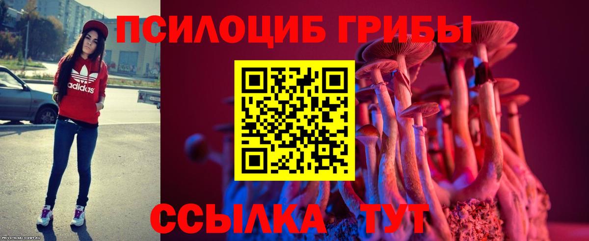 Галлюциногенные грибы GOLDEN TEACHER  Вход с VPN  Скопин 